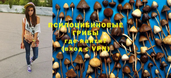 винт Ессентукская