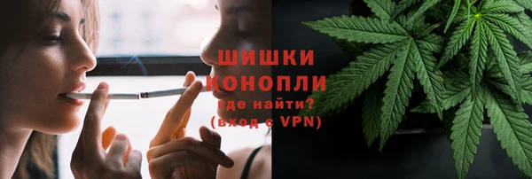 винт Ессентукская