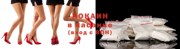 соль ск Кулебаки