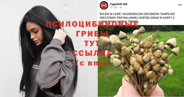 прущий лед Куйбышев