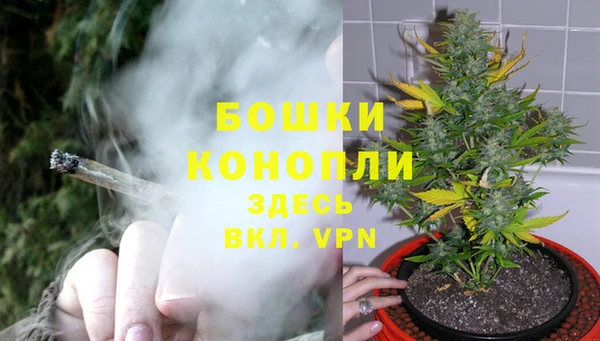 ECSTASY Кукмор