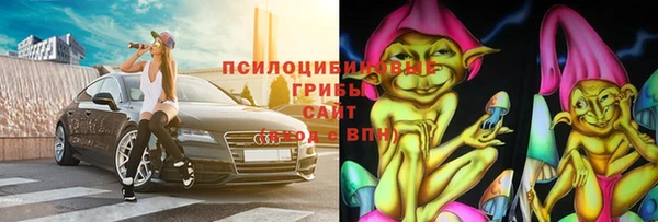соль ск Кулебаки