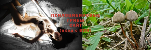 соль ск Кулебаки